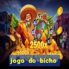 jogo do bicho crash bingo